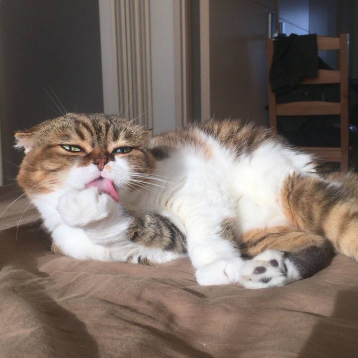 6da541af 5a7d 46bb abdd 50dce3de9bfc