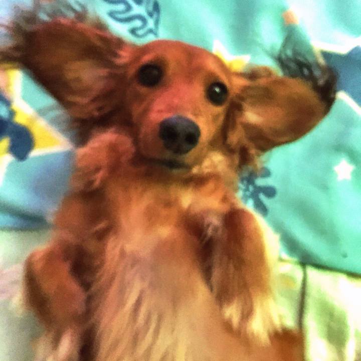 6da54ab4 e647 4ae4 aff7 d00e1d479b29