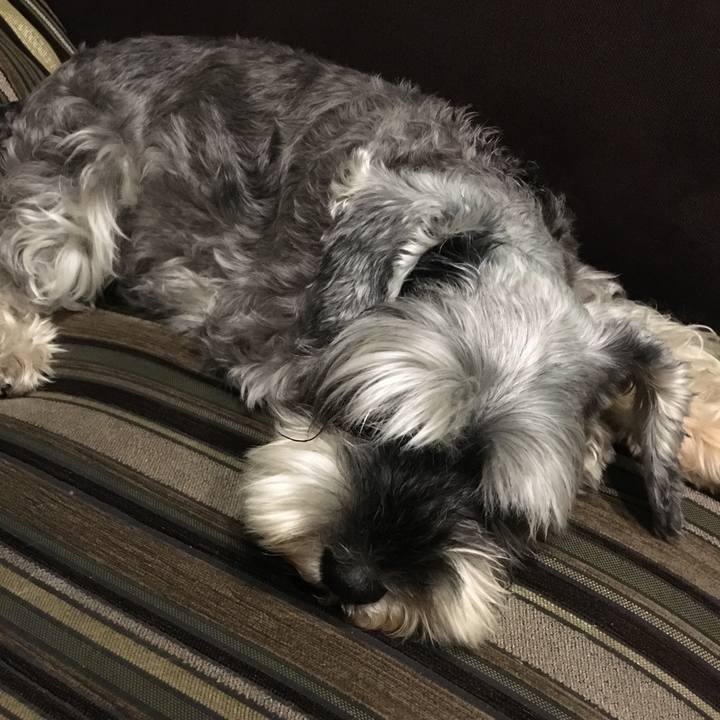 6da614e4 aa01 4f91 a5fe 8ed84cec459e