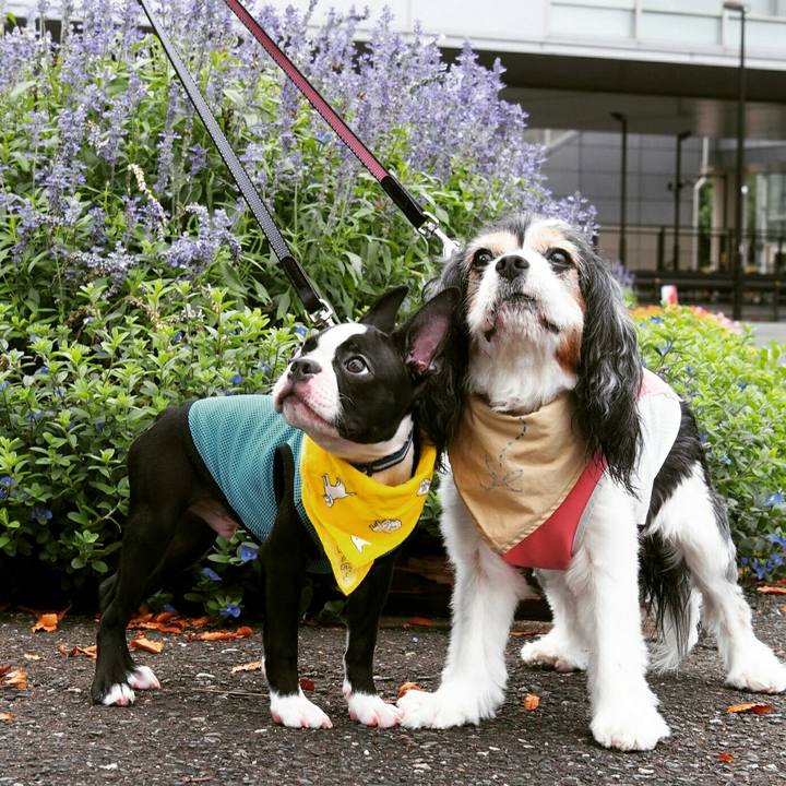 6da6a02d 463a 4767 8156 bd0925e6175f