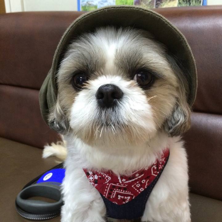 6da6c11c 7958 49d3 a04d 79c512a003e2