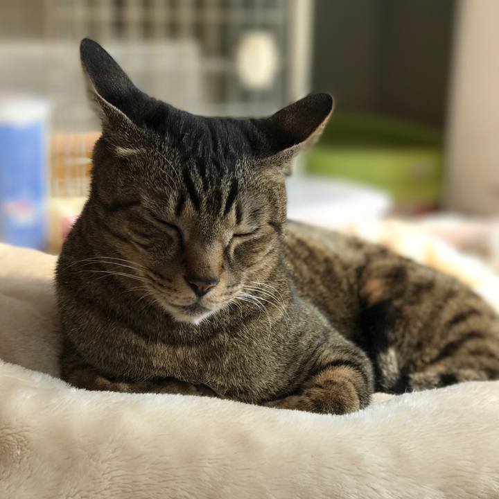 6da803dd 8b59 40f4 a6aa 100bd6ed3685