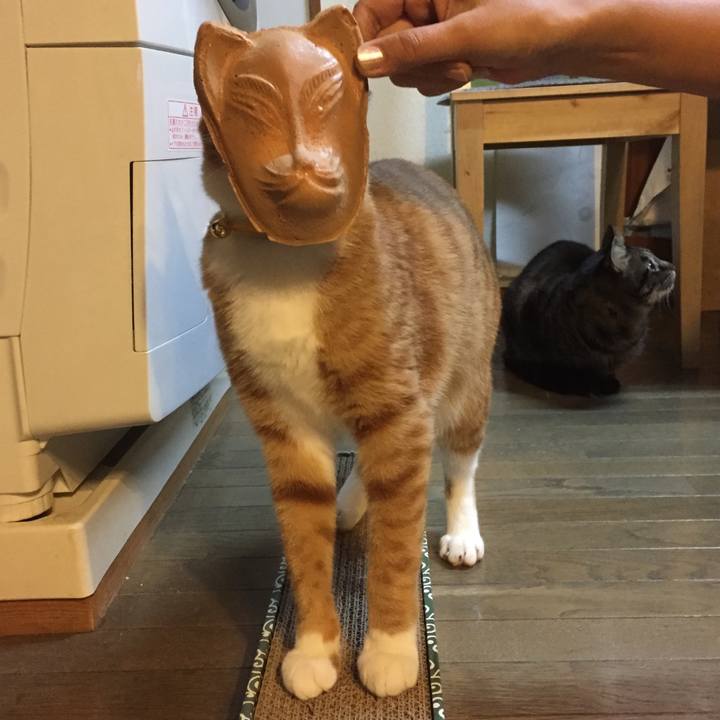 6da89001 58c2 4c60 aa72 6249aec9225b