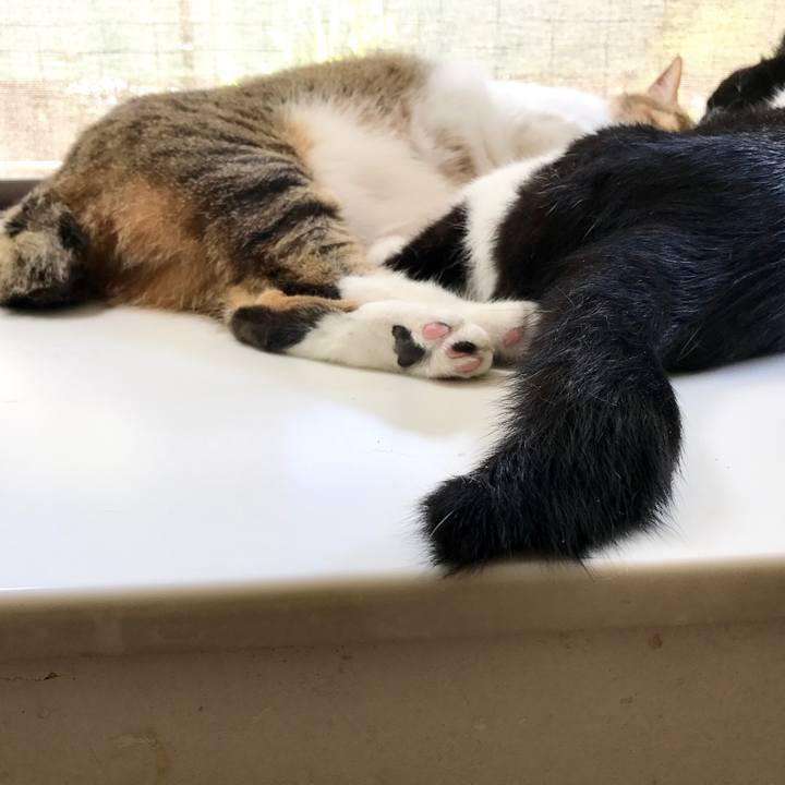 6da8bb49 b2c7 49c4 9ec9 172dbd70c359