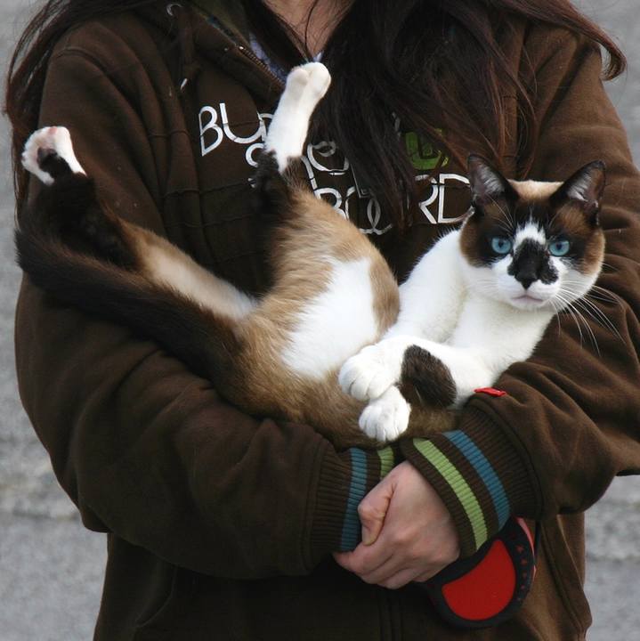 6da9fcf8 7dd2 4c88 8c36 a6eee2264ee7