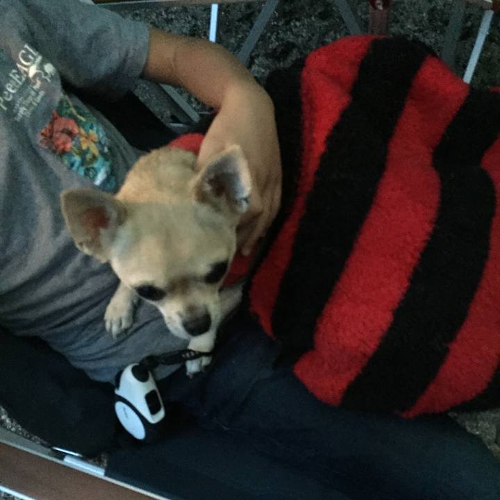 6daa1a9f 27ea 4de8 9723 85be0a875cee