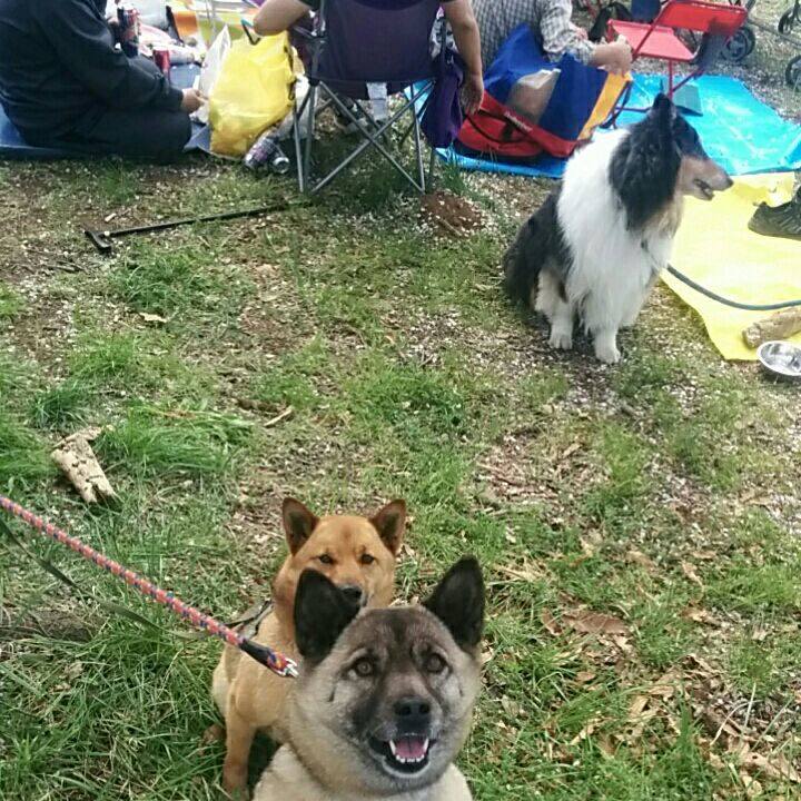 6daa1f1f f265 4406 b648 c6406fbe85af