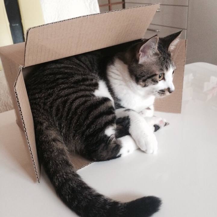 6daa3fc9 8d38 4287 85d6 75c278b7face