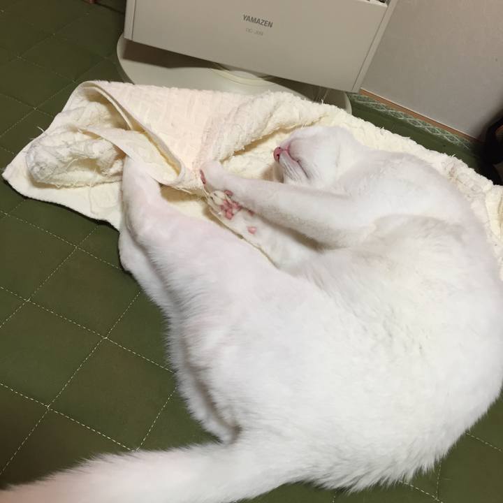 6daa630d 8971 4f22 88af b884ffd919a9