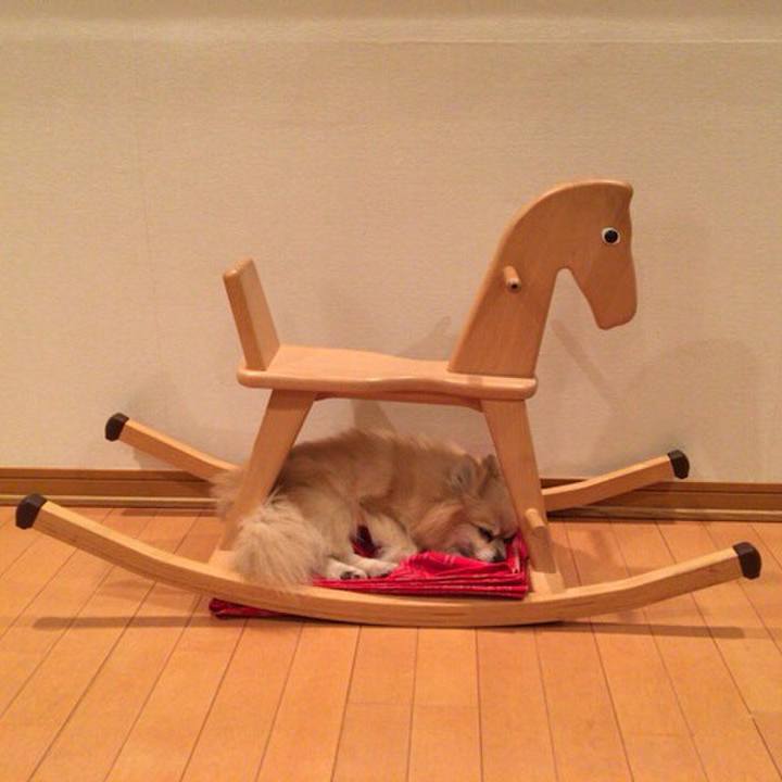 6daad3b7 3fc4 446b 8d89 015528ac65dc