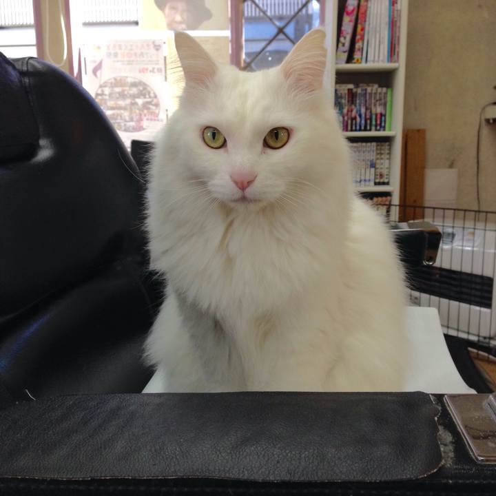 6dab3750 8fb5 4fdd a0ba 203838e11521