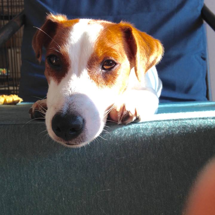 6dab798c 292b 4124 a1dd 6b5a7905065b