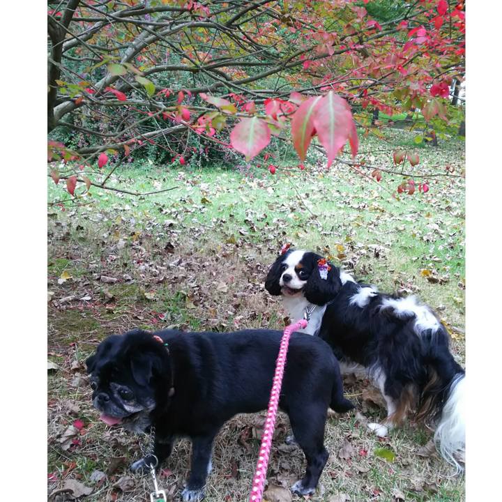 6dabc131 540a 4f8c b1da 2b0f6250fecb