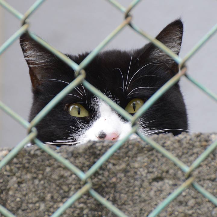 6dabc53b 95f6 4148 aaf5 8bcd85840fe1