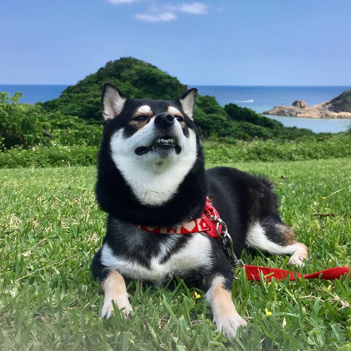 6dabf465 8d54 484f 9a22 04c20f1fe4d3