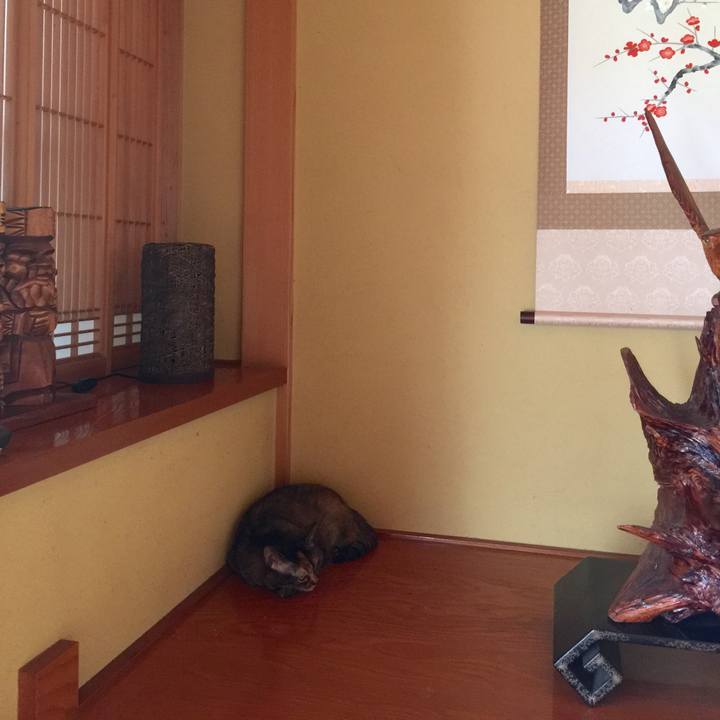 6dacb2b3 10ff 4ccc 92da 8753846073af