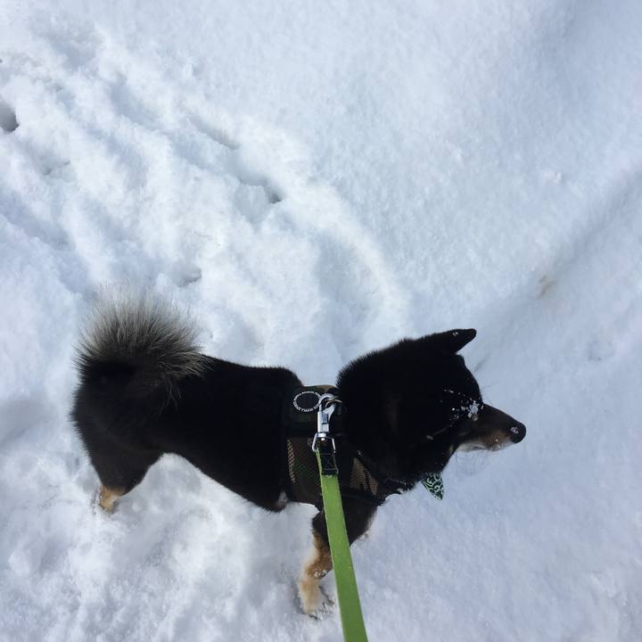 6dad8590 edbb 4ffc a03f 431217627929