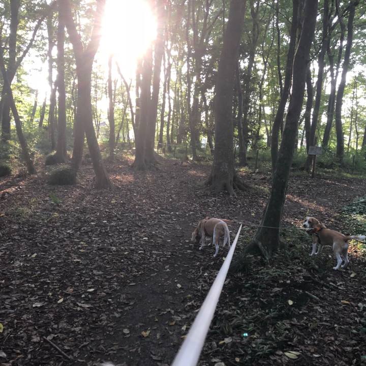 6dadb26b 95ff 443e 9faf 5ff7481ca151