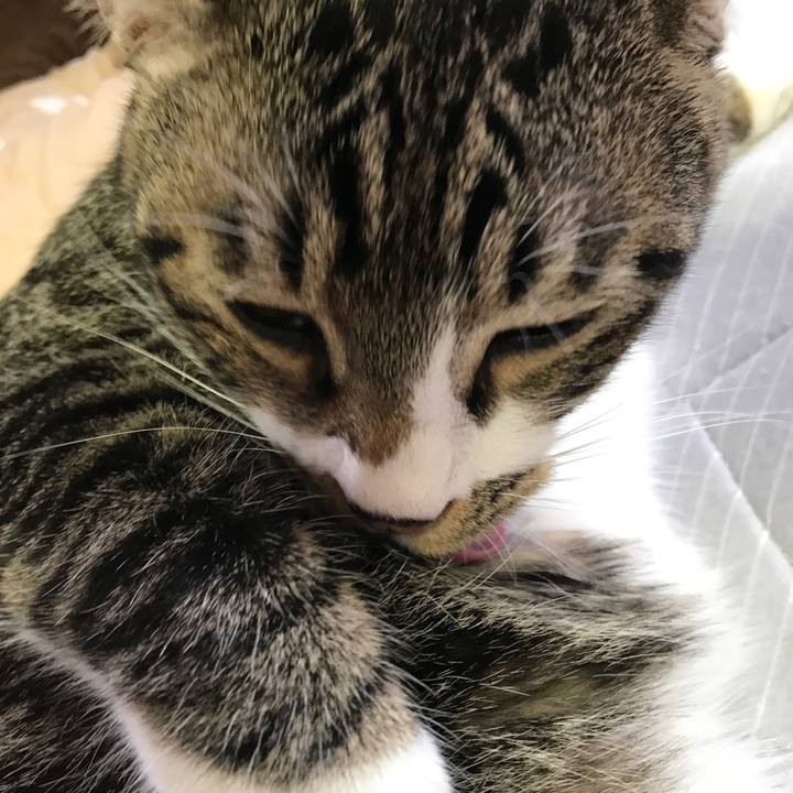 6dadf62f dd40 48c1 a9b5 40b0515dd5b8