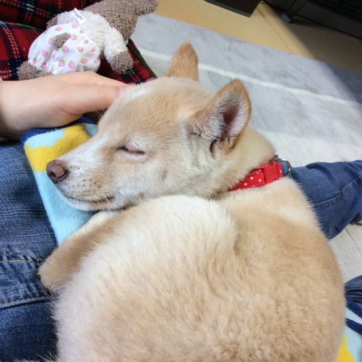 6dae2fab 2f5e 4460 9748 04504bb094ed