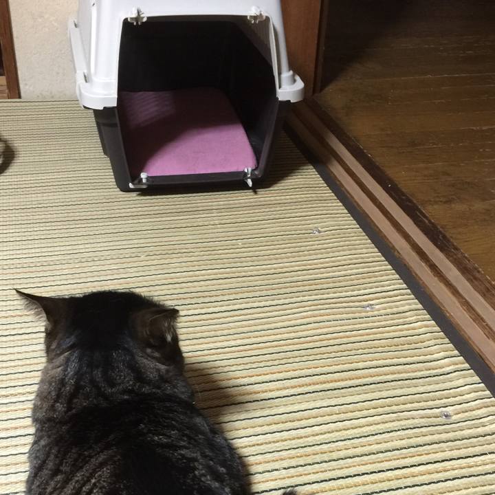 6daead52 7040 4209 8379 a42f7f127a75