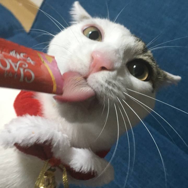 6daee842 e8fa 40ff b6ca 1d827ff73dc8