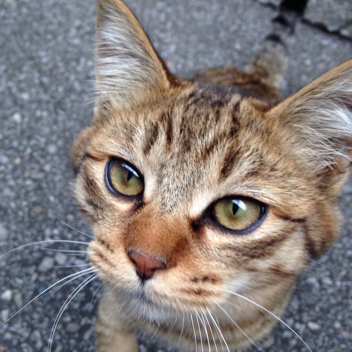 6daf554e 8337 4416 ac15 6ad3ca9188c2