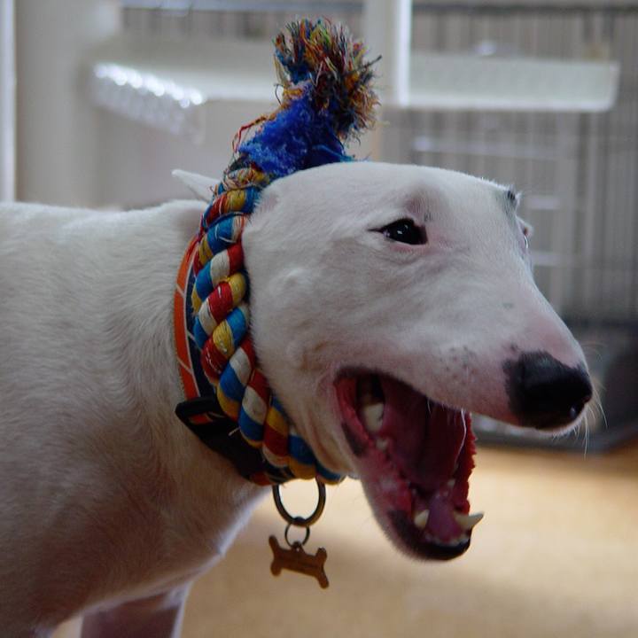 6daf602d f580 4307 b77a 3b04075a6632