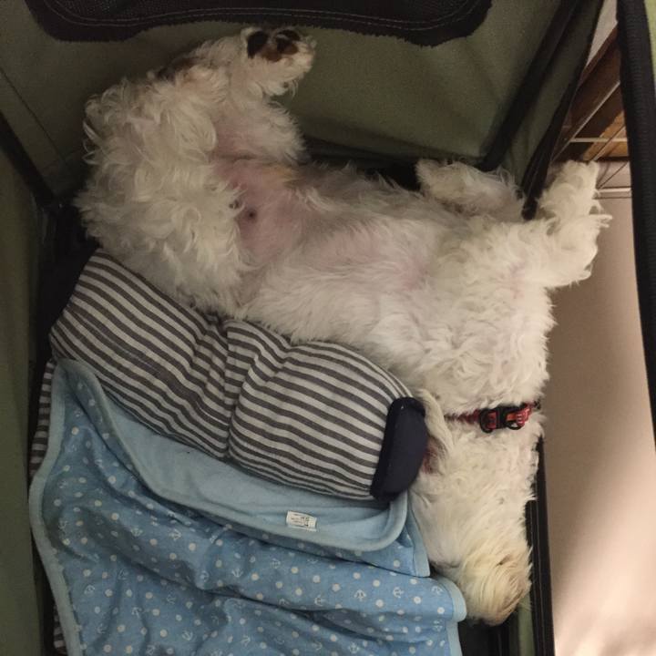 6daf7a95 4c5d 4d4e a949 aa28f07cffd9