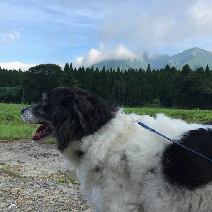 6daf7c5d d024 4273 99c8 7222532fb269