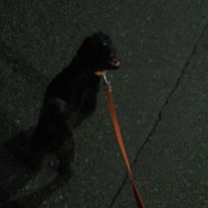 6daf9a66 1ab0 4f2d a2d7 f514ff585154