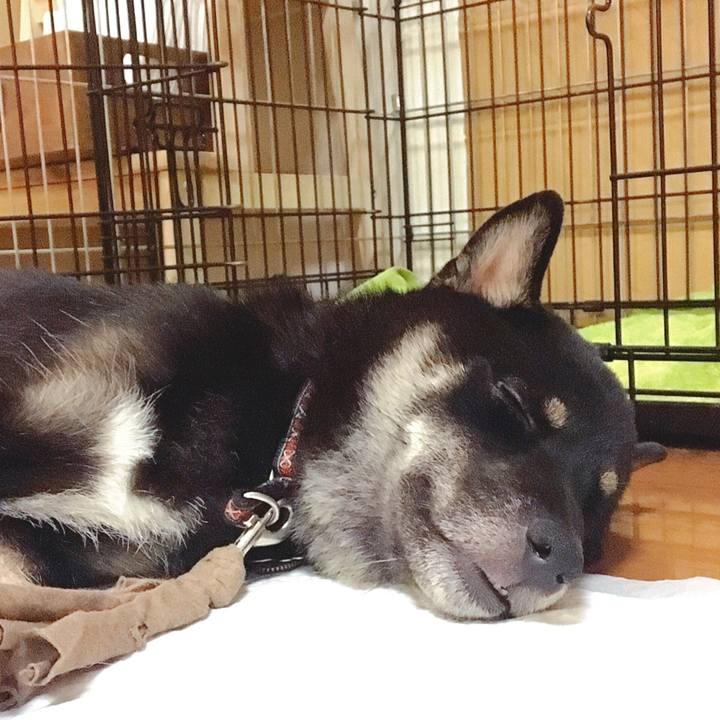 6dafb6cd 45e5 4648 a310 0a35f30cb190