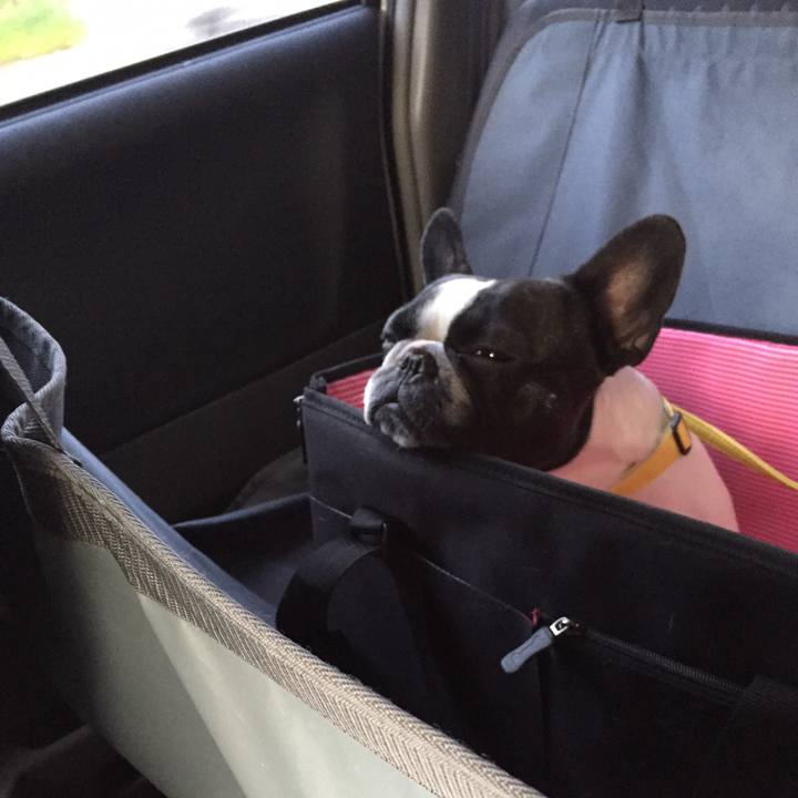 6dafc448 4446 4735 bd5d 44f26c61f606