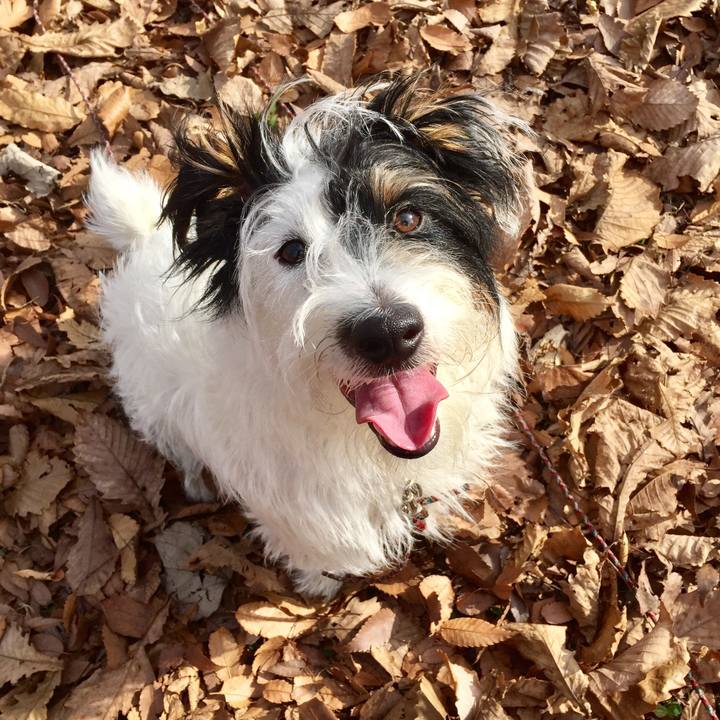 6db0604e c9da 4c44 92a5 58a63263ab5f