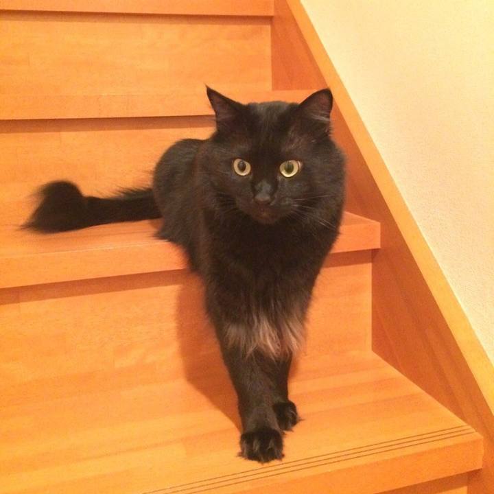 6db0ccf7 532f 407e 9454 a9fe544a7cc4