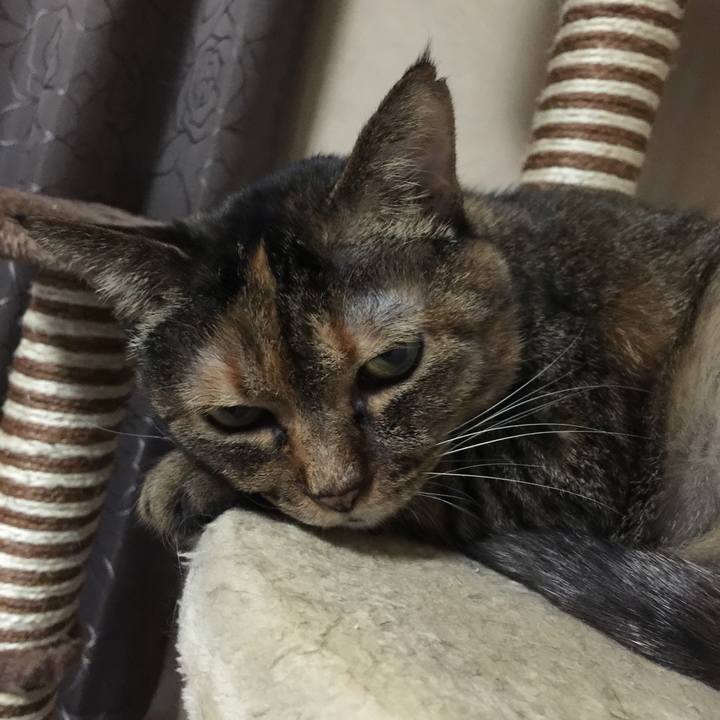 6db10a2d ca69 4cdf be13 fbb7e33cdeb2