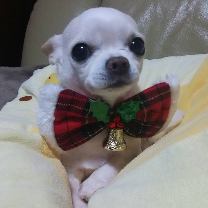 6db1228a 9e22 48e3 9467 af71c6828ff7