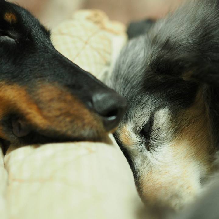 6db1450c 85bb 48ee 9644 9cd35df48fcd