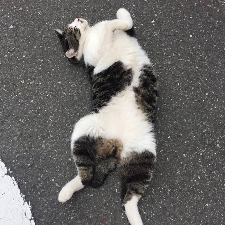 6db1faa3 a806 4845 b241 2f87a8730b19