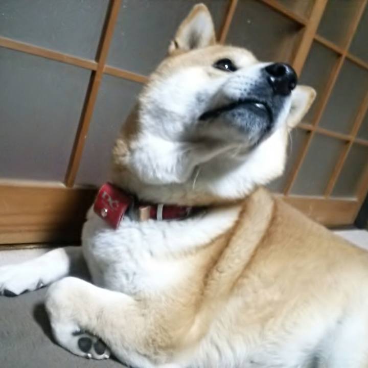 6db21c31 046d 4e8c aa1a 3c10adb90389