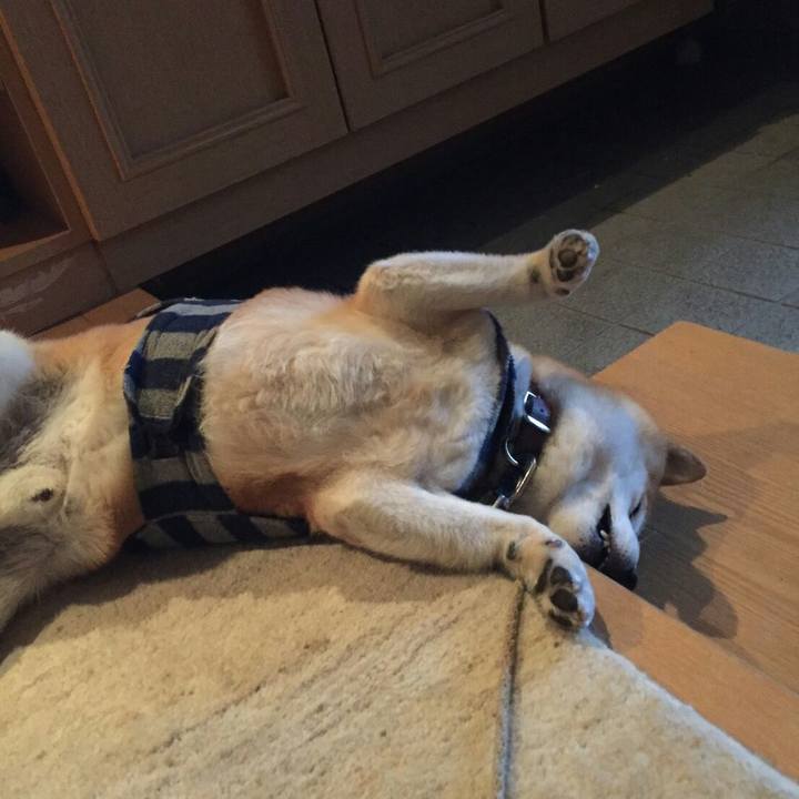 6db24b7e 1d6d 4514 bce7 0f76e4f1f750