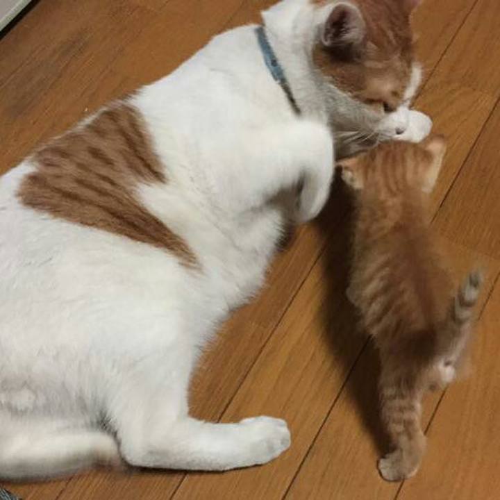 6db27163 963f 4692 8da4 a2647c083a8d