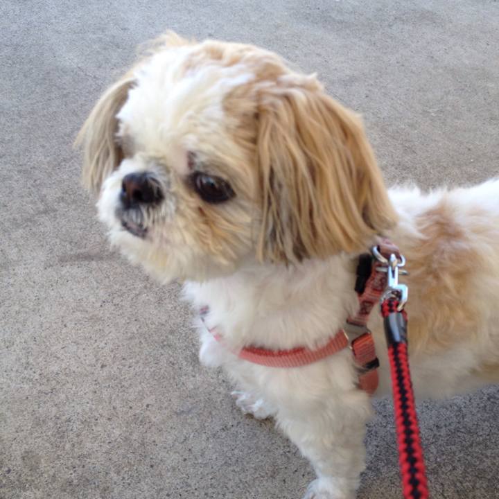 6db3436f 611b 41d1 a29d d7442121b069