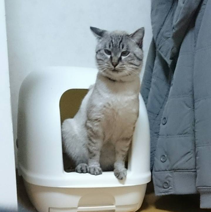 6db46c5f 8654 4385 b362 daed748293fd