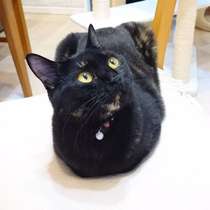 6db4d112 9325 415d 8bf0 7b2ed9fb7487