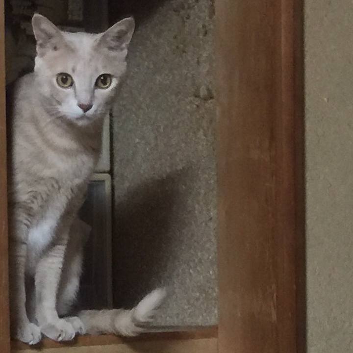 6db513b1 d8ca 4de9 bef2 f9528c7a653c