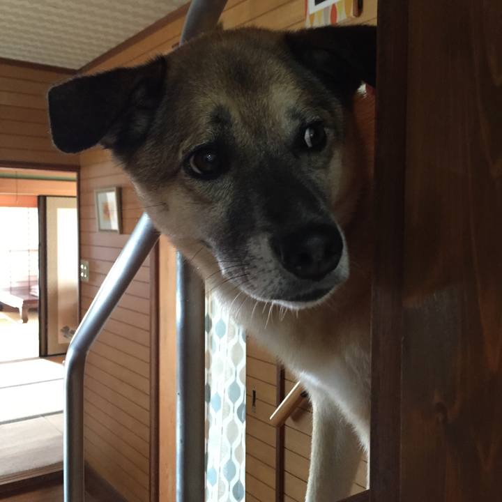 6db52084 6ca3 4e69 9e7e e07ea802e9d0