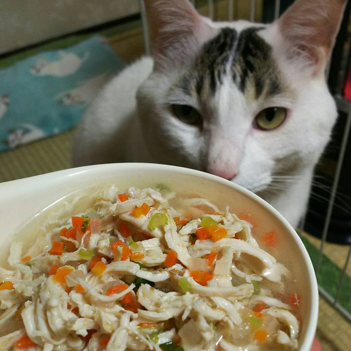 6db5c098 bf96 4c7c aebc 11ef05797879