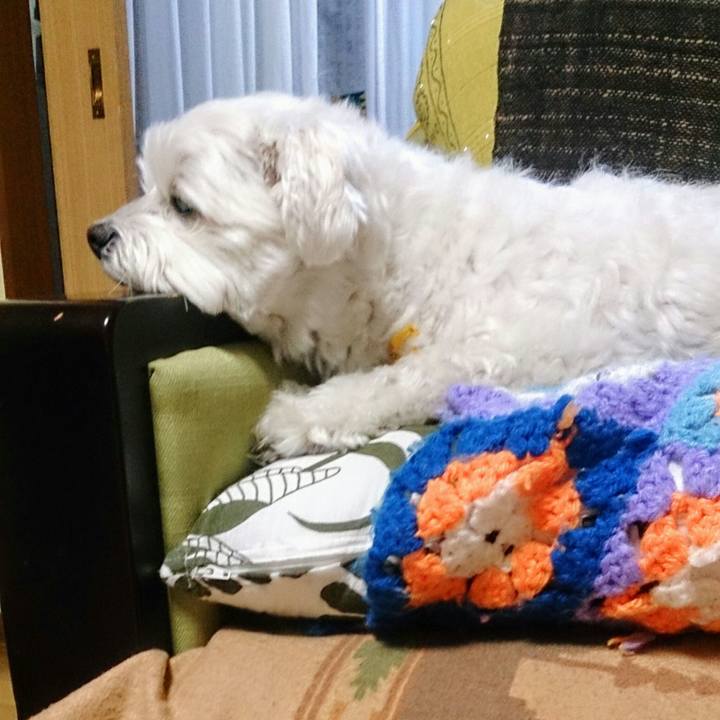 6db6689d 5ac3 46c7 abb4 f2e50bae813c