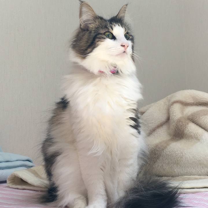 6db72018 6139 4955 bddf 614fb37df933